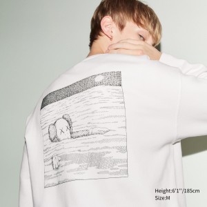 Uniqlo Kaws Ut Graphic Sweatshirt Hoodie Herr Vita | OTEMD-7940