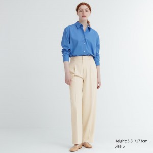 Uniqlo Pleated Wide Leg Trousers Long Blast Dam Beige | MLHBO-7810