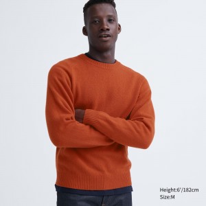 Uniqlo Premium Lambswool Crew Neck Jumper Jumpers Herr Orange | NKUPS-4617