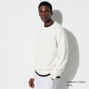 Uniqlo Sweatshirt Hoodie Herr Vita | YFMDI-7561