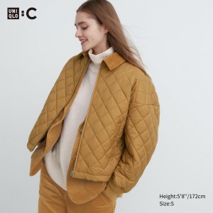 Uniqlo Warm Padded Blouson Jackor Dam Bruna | BDNTA-6731